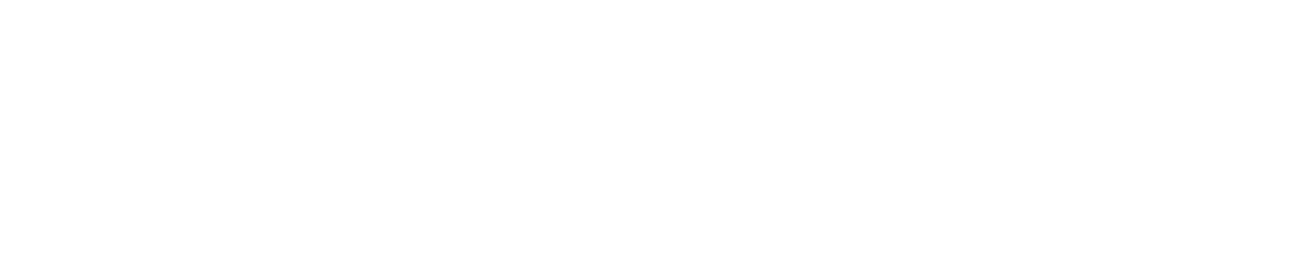 달빛체(기본라이선스부터~)