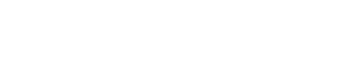 달빛체(기본라이선스부터~)