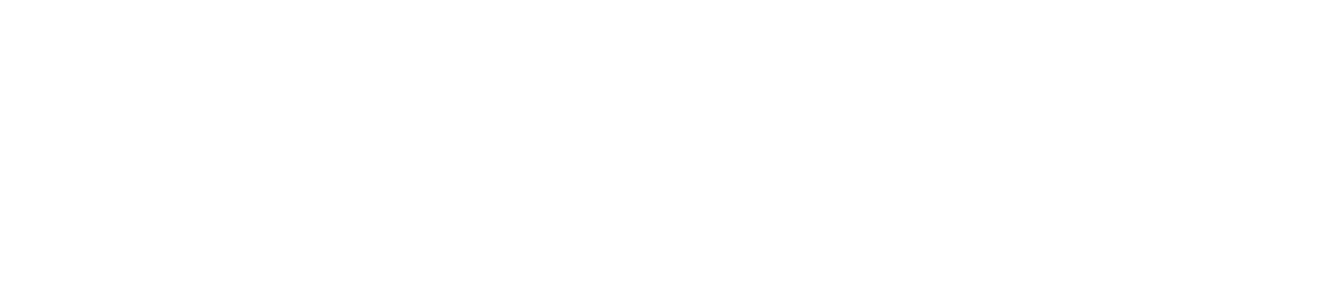 달빛체(기본라이선스부터~)