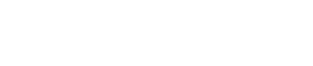 펜시리즈_에세이체(기본라이선스부터~)