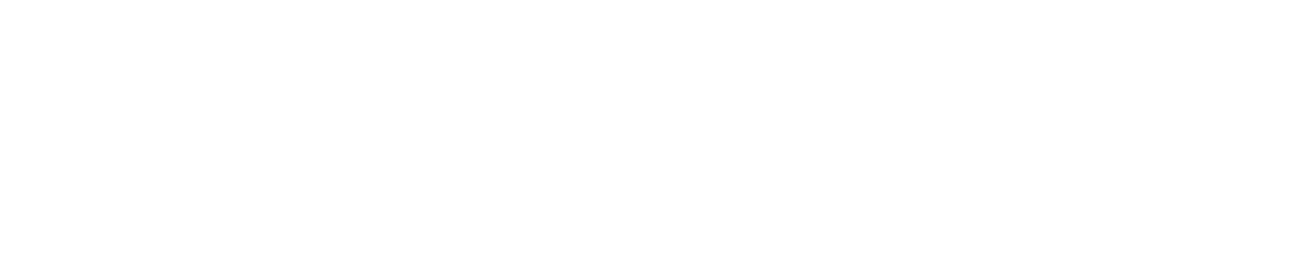 펜시리즈_에세이체(기본라이선스부터~)