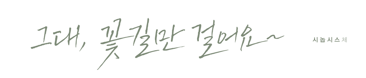 펜시리즈_시놉시스체(기본라이선스부터~)