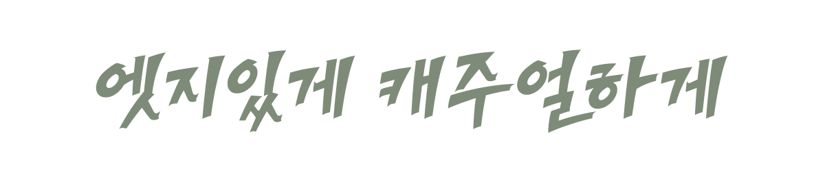 라이징스타(기본라이선스부터~)