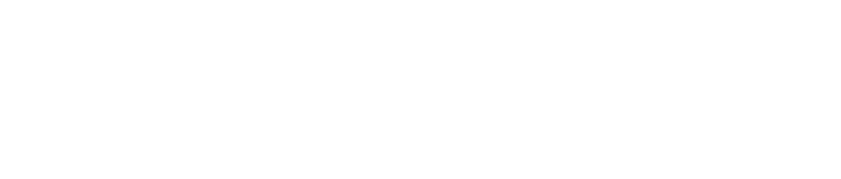 리더십(기본라이선스부터~)