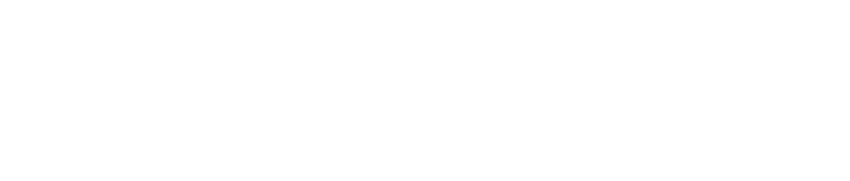 리더십(기본라이선스부터~)