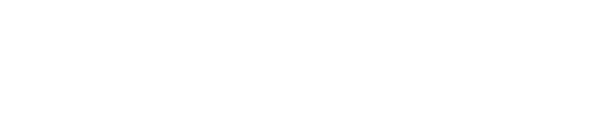 리더십(기본라이선스부터~)