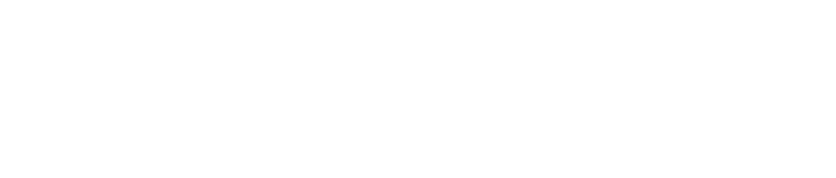 자작나무(기본라이선스부터~)