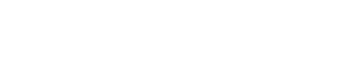 자작나무(기본라이선스부터~)